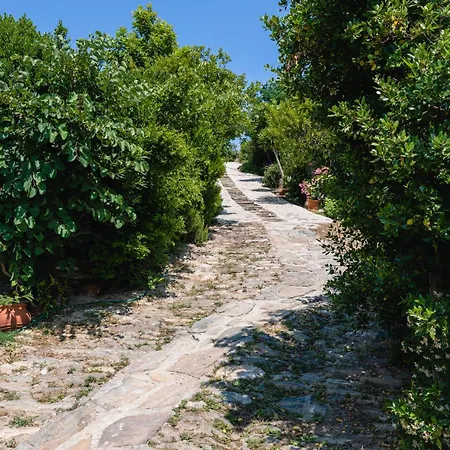 Ktima Petrina Volia- Maisonette Phos Holiday home Strapouries