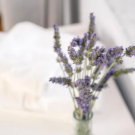 Ktima Petrina Volia- Maisonette Phos * Strapouries