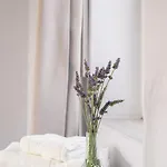 Ktima Petrina Volia- Maisonette Phos Feriehus