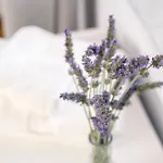 Ktima Petrina Volia- Maisonette Phos * Strapouries