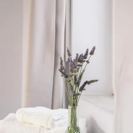 Ktima Petrina Volia- Maisonette Phos Σπίτι διακοπών