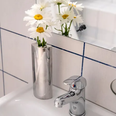 Ktima Petrina Volia- Maisonette Phos Strapouries